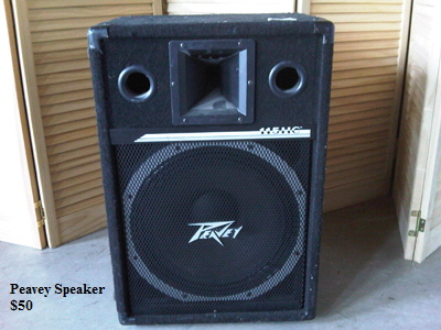 Peavey Speaker
   $50